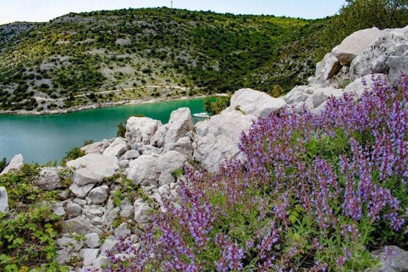Monte D'or *